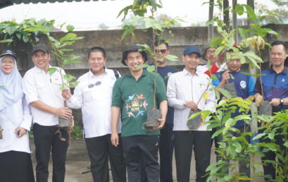 Peringati Hari Bumi, UIN Raden Fatah Ikuti Penanaman Satu Juta Pohon Matoa