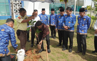 Penanaman Pohon Serentak oleh PPPK Tahap I UIN Raden Fatah Palembang, Wujud Nyata Komitmen Pelestarian Lingkungan