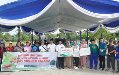 Idul Adha 1446 H, UIN Raden Fatah Palembang Kurban 11 Sapi dan 9 Kambing